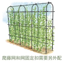 Cucumber rack Seed with bean corner melon rack grapevine climb vine rack garden frame outdoor courtyard