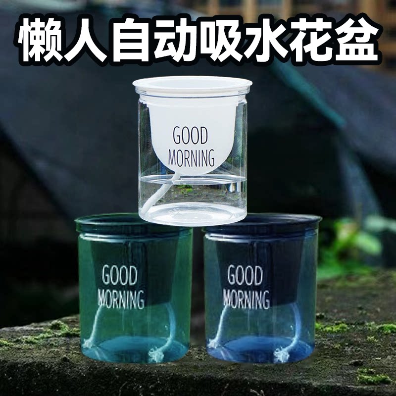 Tabletop potted automatic water-absorbing lazy flowerpot indoor and outdoor green planting golden kudzu meat hydroponics water-free watering transparent plastic