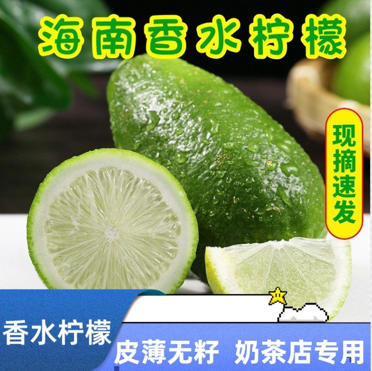 Hainan Perfume Lemon Freshly Picked Seasonal Fruit Seedless Green Lemon Milk Tea Shop Selected Thin Skin