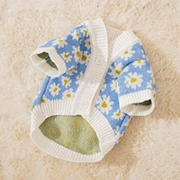 Синяя ромашка