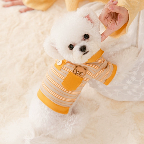 抹茶 Вязаная рубашка собачья пружина и осень тонкий кот господкий домашний животный плюшевый мишка Jochxia fhaxu маленькие щенки