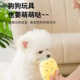 Бумажная звуковая игрушка-погремушка для щенков, артефакт, устойчивый к укусам и облегчающий коренные зубы, щенок собаки, плюшевые принадлежности для маленьких собак