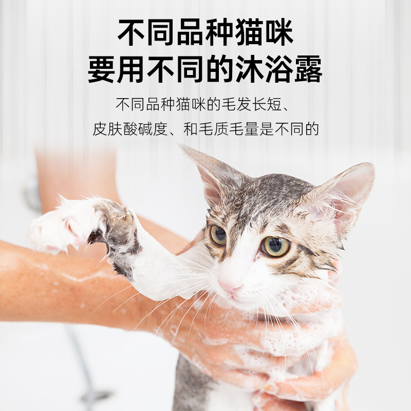 宠物专用沐浴露：为爱宠打造的清洁新选择