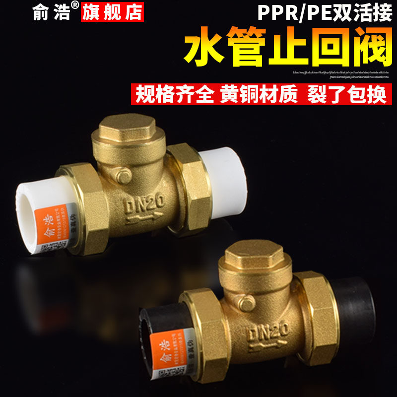 PPR Water Pipe Check Valve PE Double Live Stop Inverted Valve Water Pipe Water Meter Backstop Valve Copper Horizontal Standing 4-20