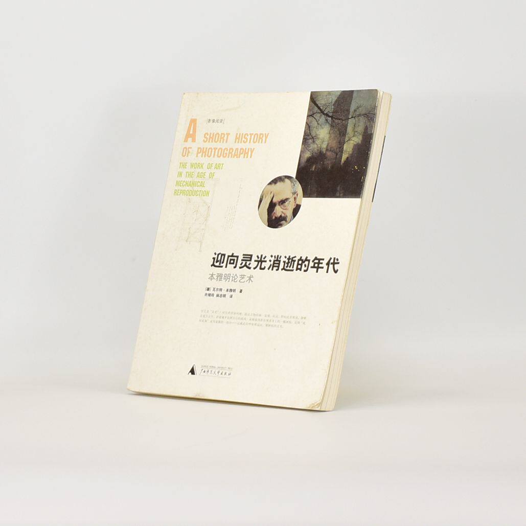 正版迎向靈光消逝的年代副標題: 本雅明論藝術廣西師範大學出版社ISBN: 9787563345137 售價高於定價品相9品