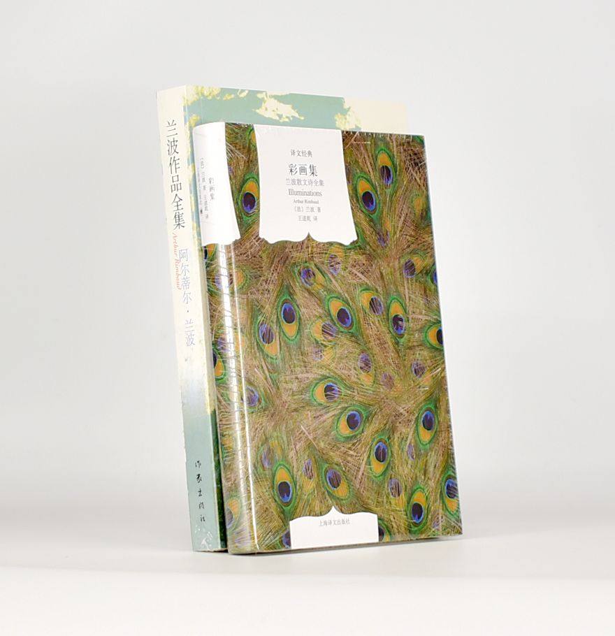 正版 兰波作品全集+彩画集 2本合售 兰波 著 王道乾 译 醉舟 地狱一季 彩图集彩画集 爱情沙漠 诗歌全集 王以培翻译-淘宝Taobao ...