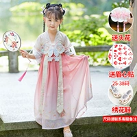 Batterfly Ling-Pink с коротким рукавом+вышиваемая обувь