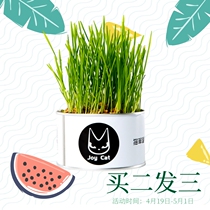 Novice cat grass canned canned cat cat snacks no soil to hair ball wheat grass hair cat supplies