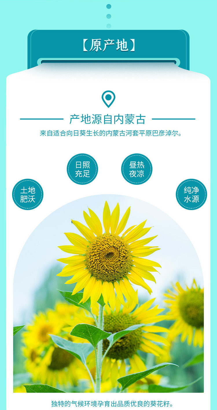 内蒙古特产 胖农 原味葵花子200g*3袋 图2