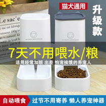 Cat double bowl automatic waterer cat bowl dog bowl dog food bowl dog feeder cat food feeder pet supplies