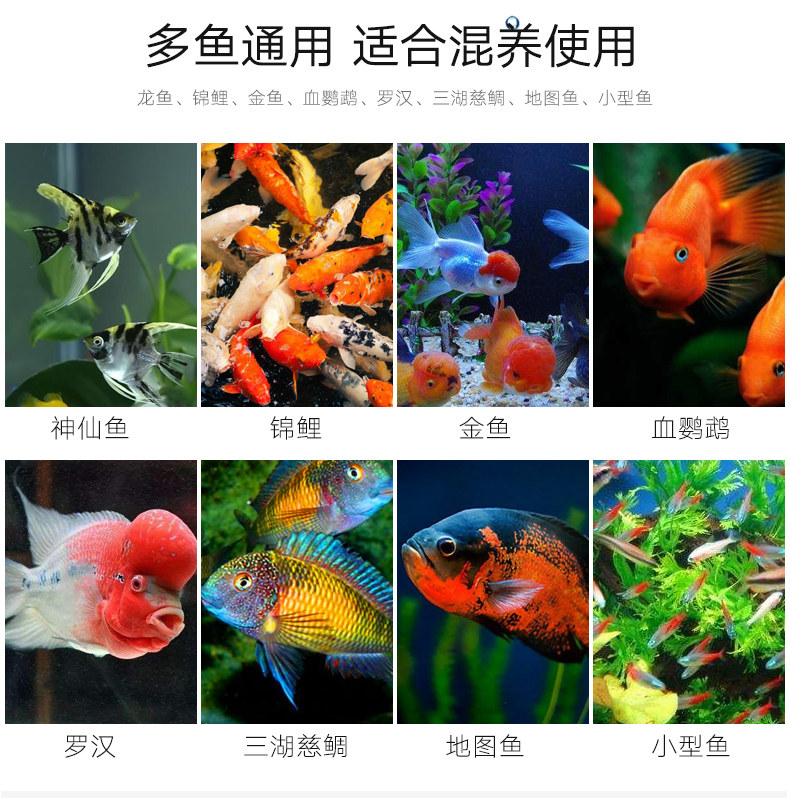 觀賞魚白點淨魚藥萬能疾病治療錦鯉熱帶魚血鸚鵡金魚白點病專用藥