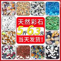 Cobblestone natural rain flower stone color stone white pebble multi-meat paved fish tank for landscaping flower pots gardening decorative stones