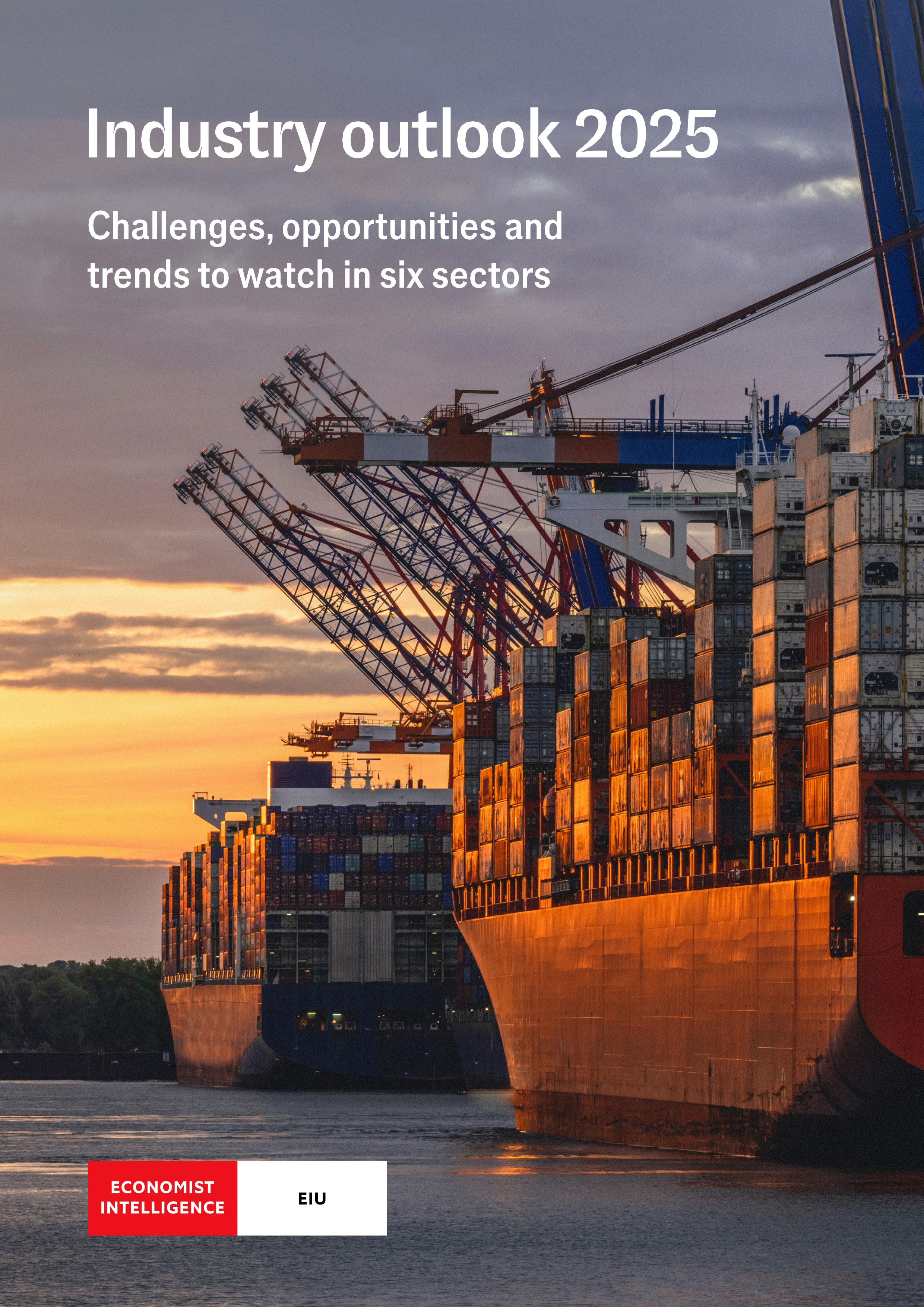 The Economist – Industry outlook 2025.jpg