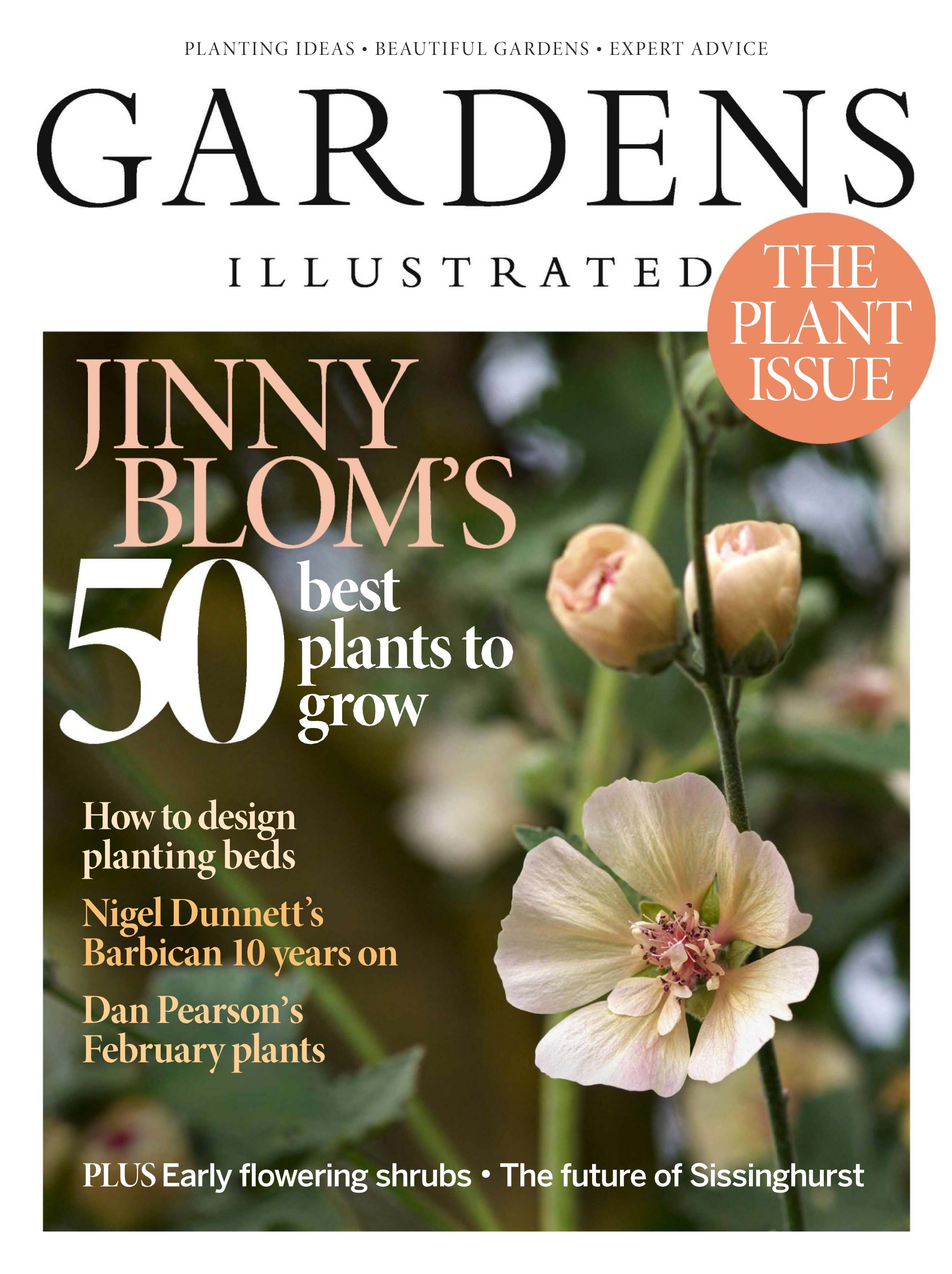 Gardens Illustrated 2025.02.jpg