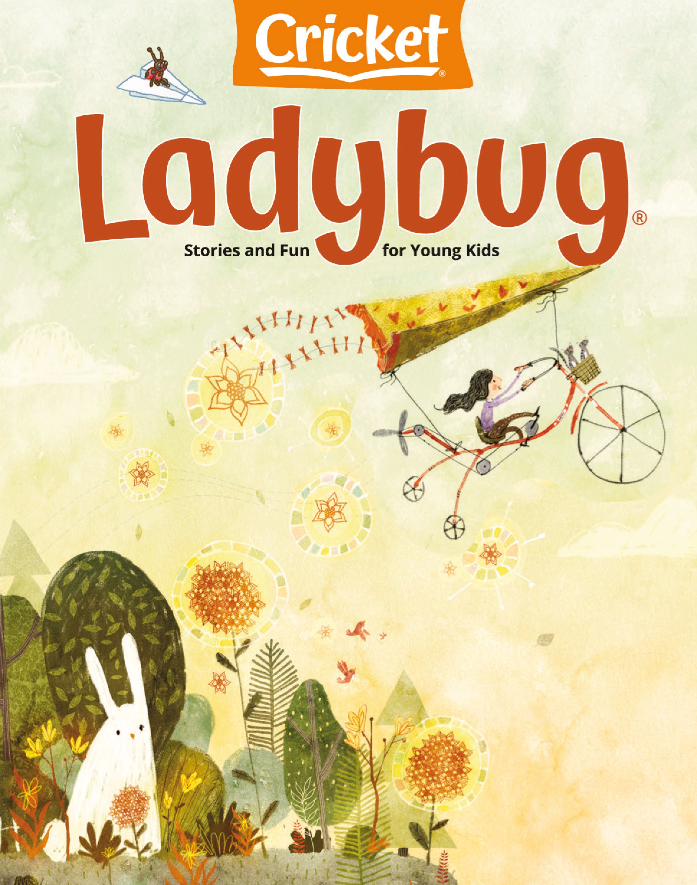Cricket Ladybug 2025.05&06.jpg