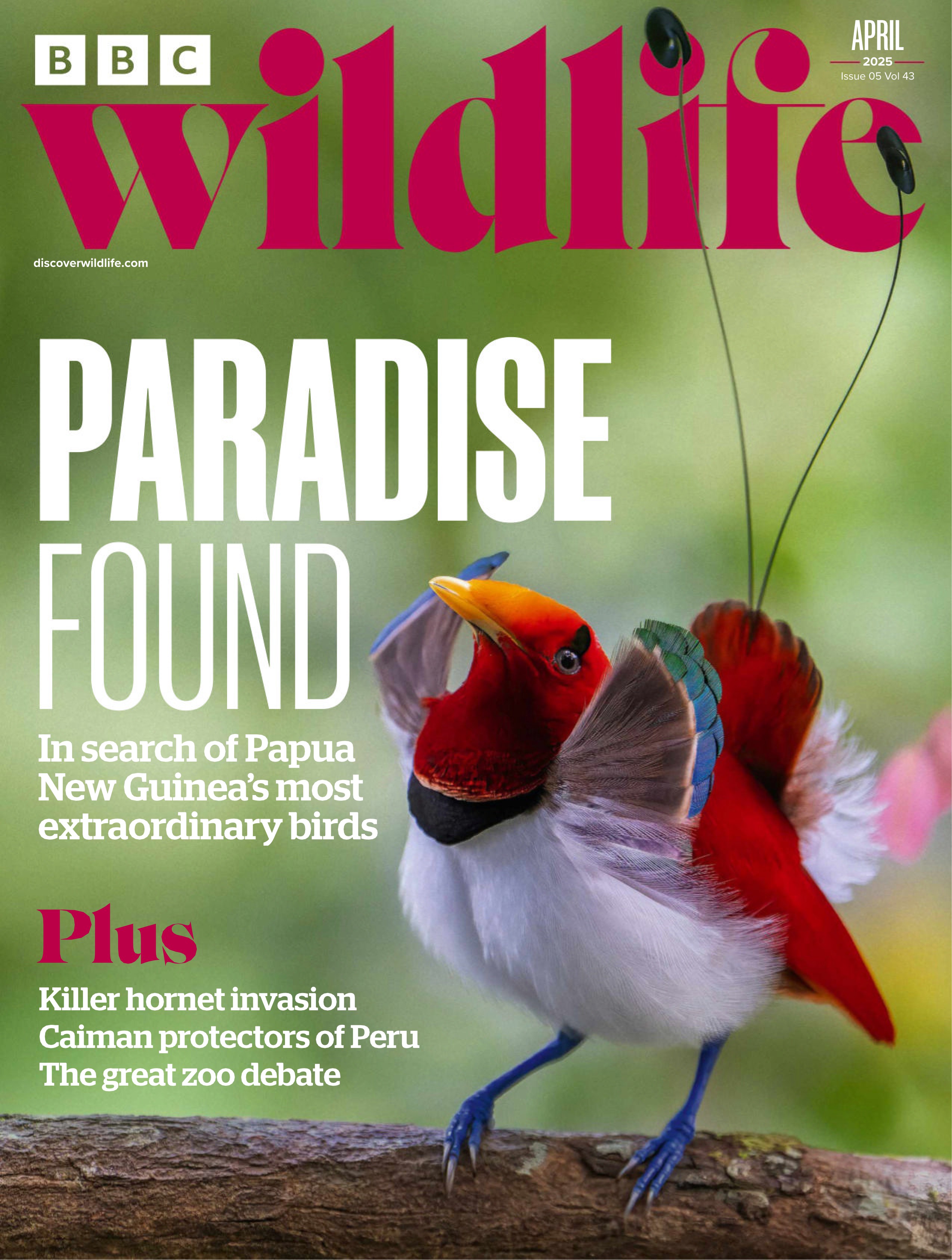 BBC Wildlife 2025.04.jpg