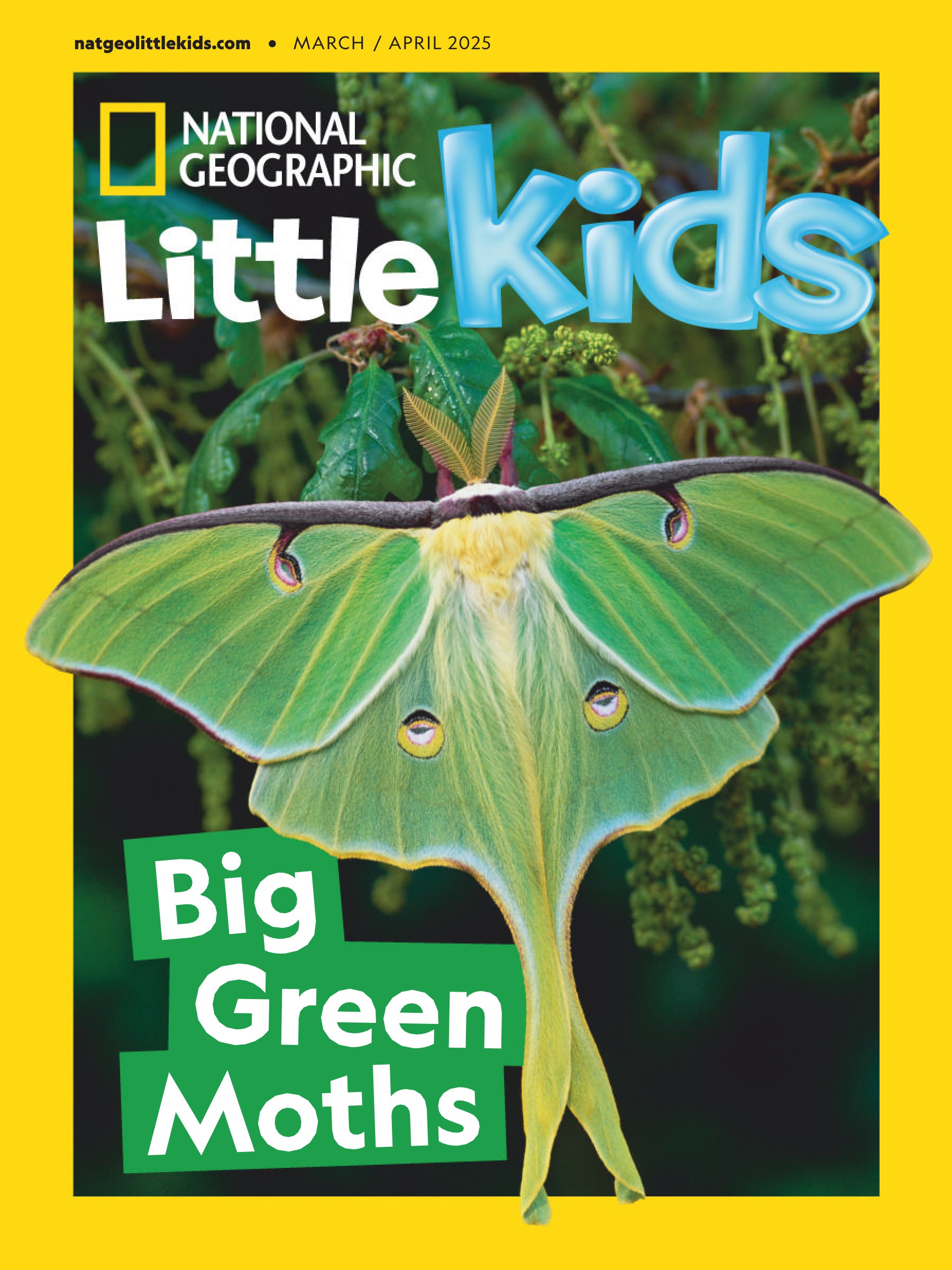 National Geographic Little Kids USA 2025.03&04.jpg