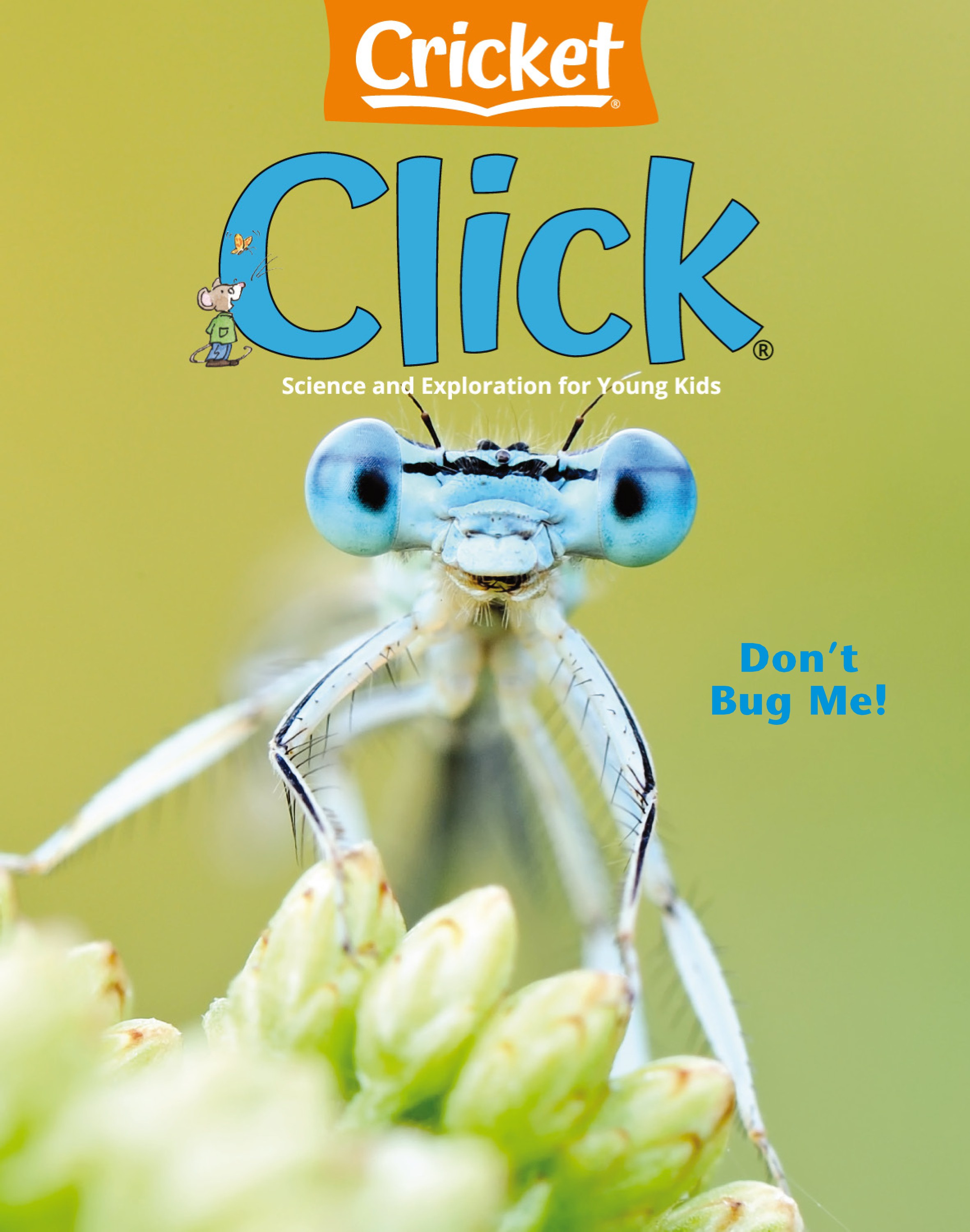 Cricket Click 2024.09.jpg