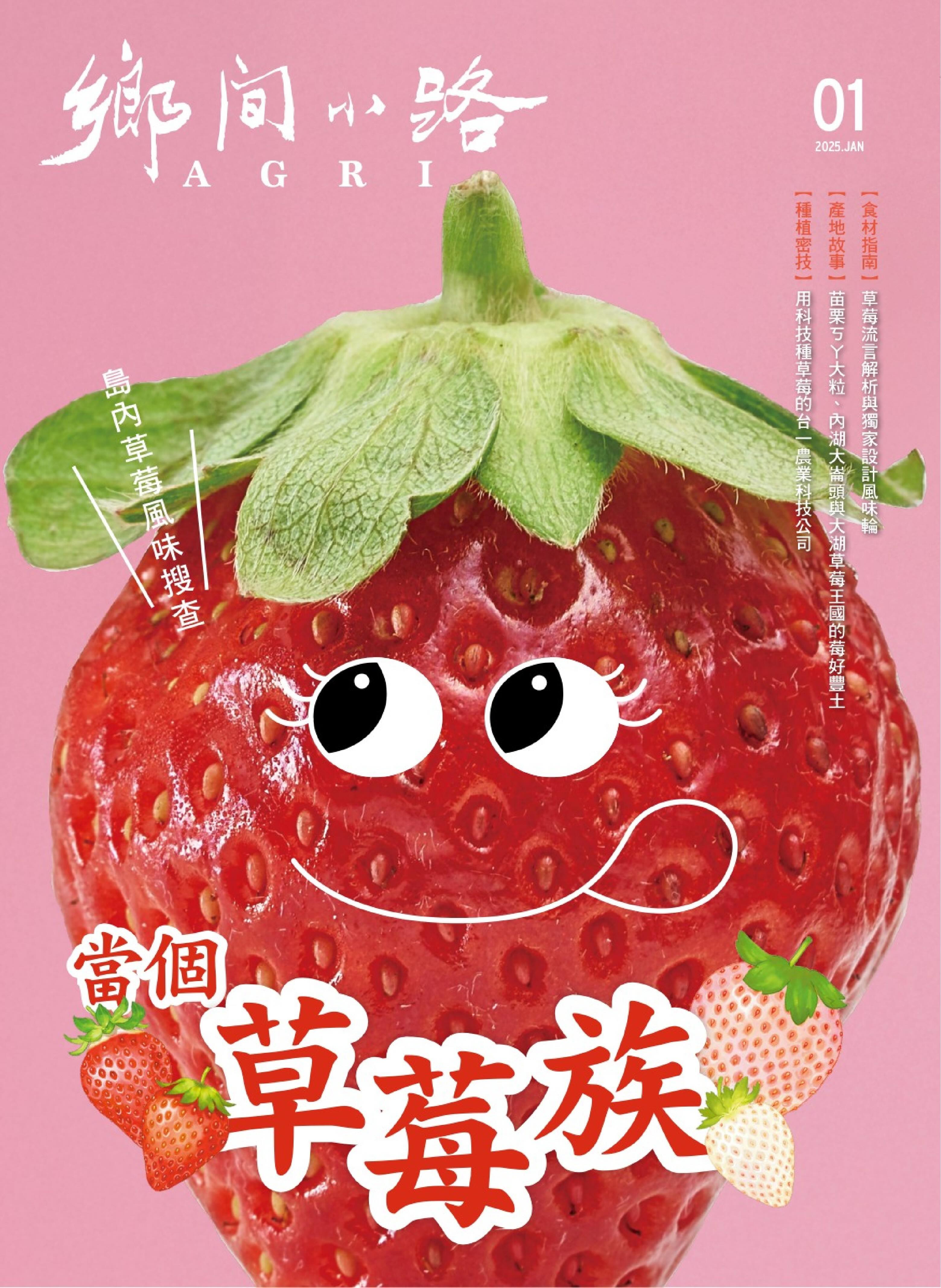 鄉間小路 2025年更新中