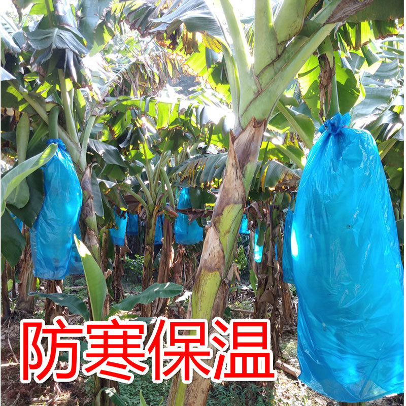 Banana integrated bag to prevent cold Banana bag special bag Banana bag banana bag rod to keep warm and insect-proof artifact