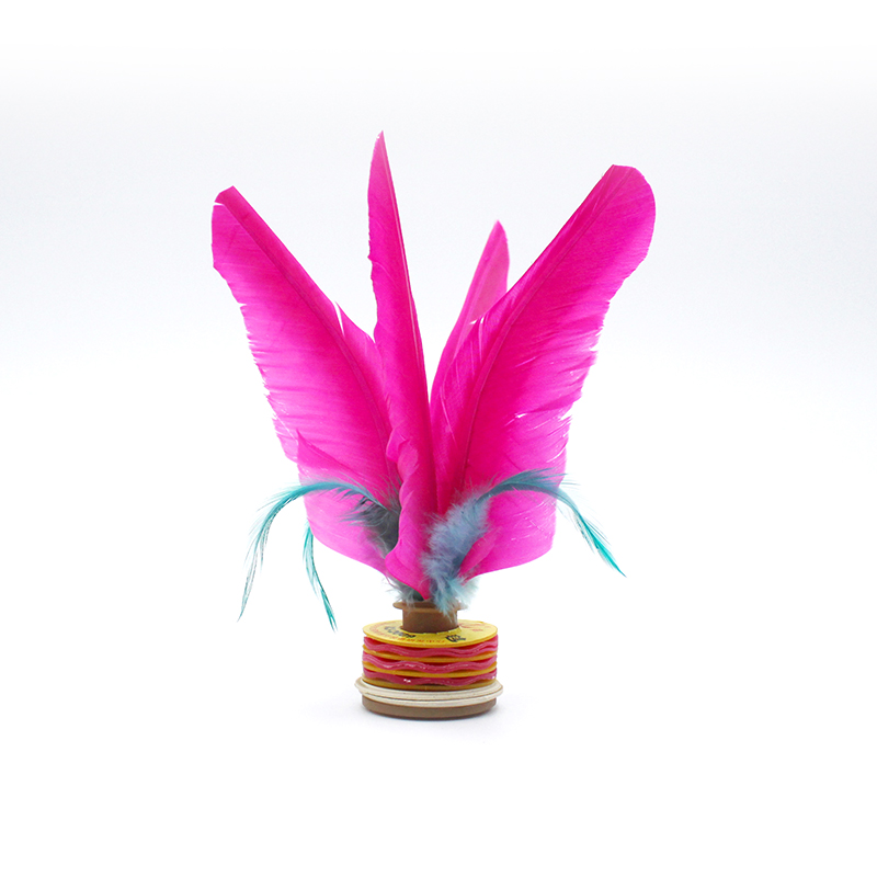Xinjian new XJ2009 flower shuttlecock medium goose feather kick-resistant adult primary school students fitness training class competition shuttlecock
