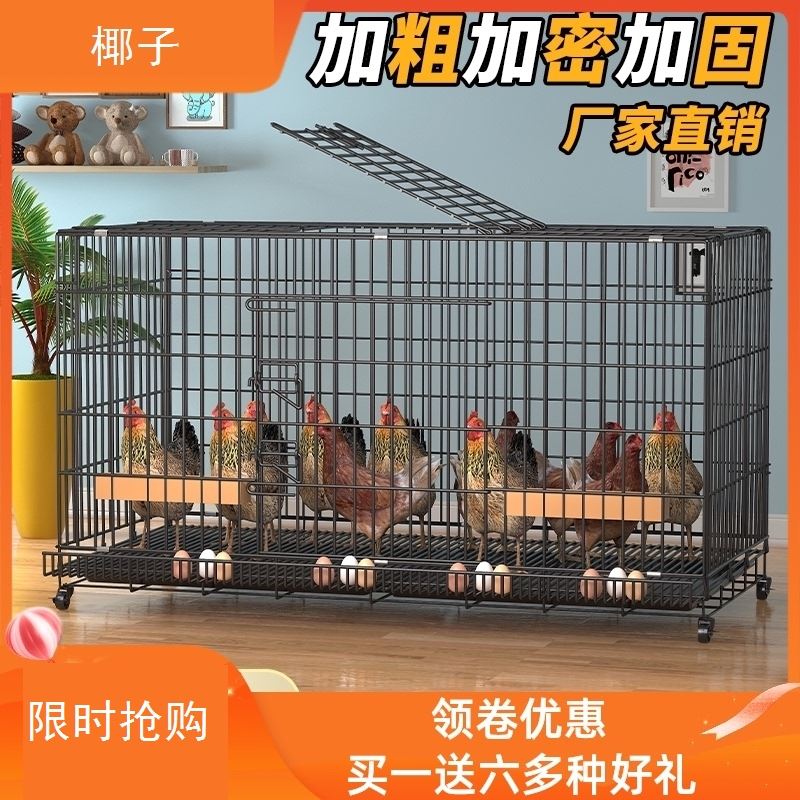 Ruddin chicken cage indoor chicken cage automatically egg chicken household large chicken cage outdoor waste cleaning