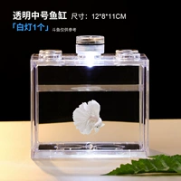 Прозрачная лампа средней стопы