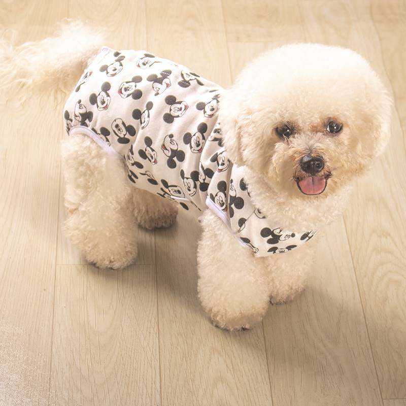 Four clothes for dogs, season clothes, belly buns, full dog protection autumn clothes, Thai clothes, Dibi Xiongbo, small vests, weaning feet, sleeping base