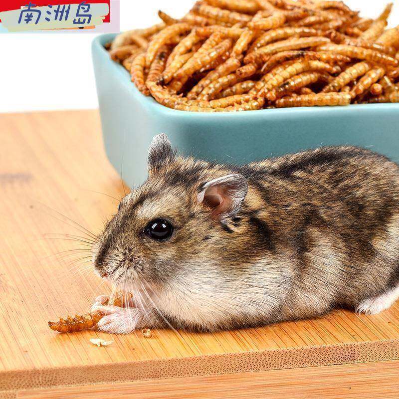 Baking grain noodle worm dry mouse zero flower food branch 2 turtle warehouse food gold silk bear staple food package rat camp supplies 100 ml