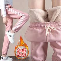 Sherpa velvet pants womens autumn and winter plus velvet thick warm cotton pants Korean version loose all-match student sports pants pants