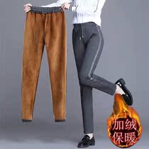 Loose and thin sports pants womens winter plus velvet thick cotton pants large size outerwear warm sanitary pants autumn and winter casual pants