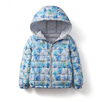 Свето -серого листья Специальный зазор