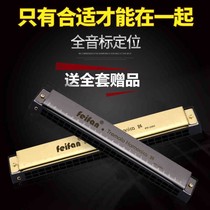 Harmonica Adult Echo Harmonica 32 Kong harmonica 24 holes Student Mini harmonica Primary students