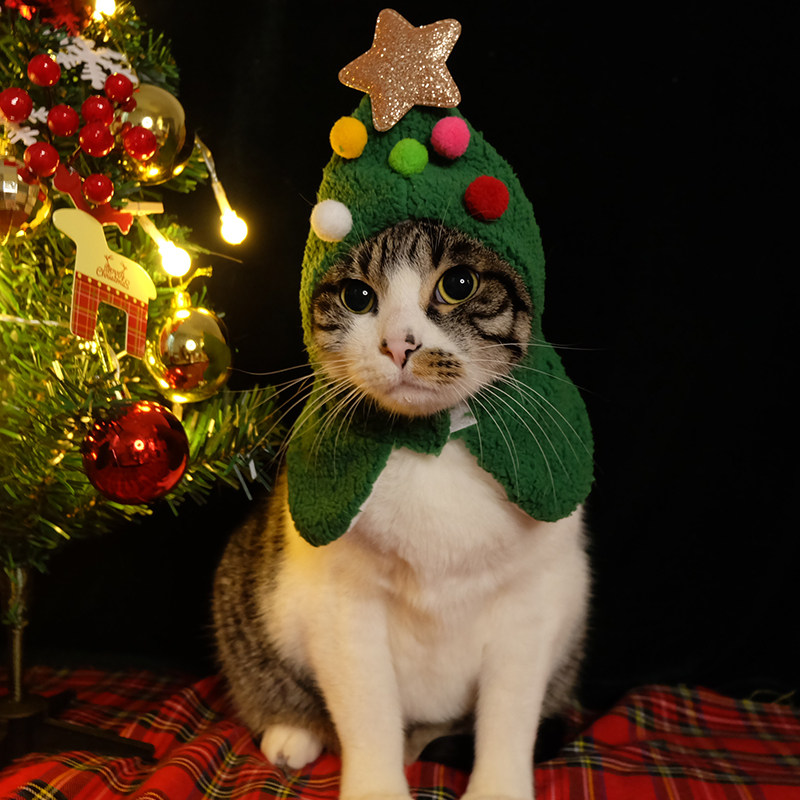 (Xiaoshan Fat) Pet Christmas Decorative Cat Hat Cloak Cloak Antler Dog Cat Set