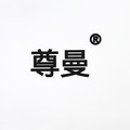 尊曼照明官方企业店