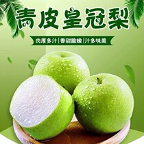 Authentic crisp pear pear pear current season 10 catties of fresh fruit season Tangshan snow pear whole box