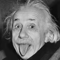 Einsteins brain will immediately grow on your body when you place an order. Your smart IQ will occupy the high ground again.