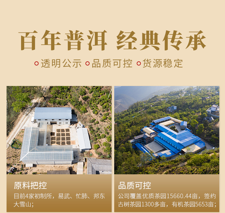 德豐昌 2022年云南七子餅醇香普洱熟茶 100g9.9元包郵（需領(lǐng)券）