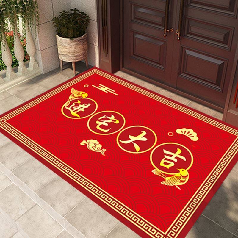 Into the house Daji carpet crystal velvet housewarming tiger mats entrance door entrance net red door mats home door mats