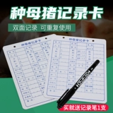 Двойная цветовая вида видов SOW записывает файл карты Файл 1 мм сгущенной свинома