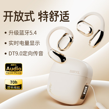 2025 New Over-Ear Bluetooth Headphones, Open-Type, Dedicated for Sports and Running, Ultra-Long Battery Life, Bone Conduction Concept