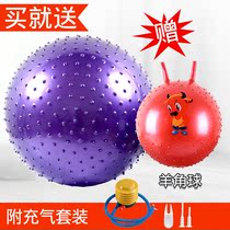 Baby Early Teach Yoga Ball Thickening Explosion Protection Big Dragon Ball Children Sensation System Training Ball Balance Ball Baby Training