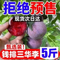 现货正宗茂名红心三华李李子新鲜当季水果酸脆孕妇整箱