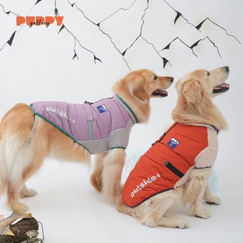 Корея Puppygally Rocke Set собачья одежда для собак осень зима зима зима теплые педантичные шляпа собаки