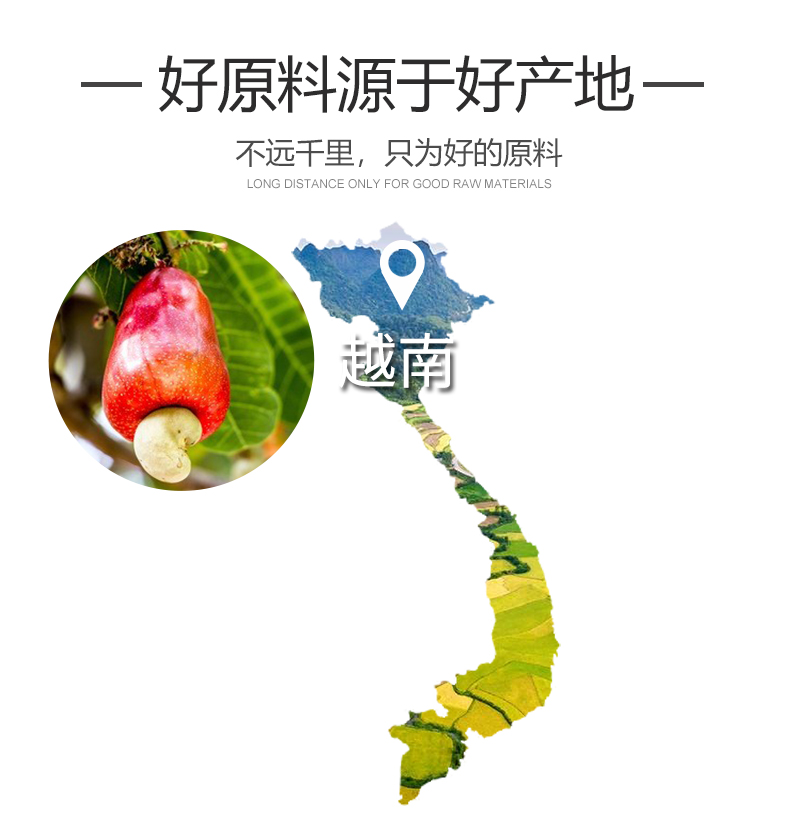 咪GO鹦鹉 原味低温烘焙腰果仁 500g 图3