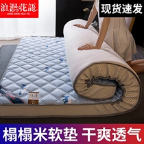 (Clear Cabin) Mattress Subs Home Sleeping Mat Ground Mat Sleeping Place Dorm Room Single Up And Down Bed Mat Rice Mat