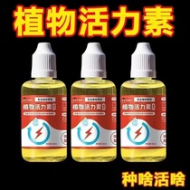 Plant vitality quality flower special universal concentrated nutrient solution multi-meat sprout green plant dead tree resurrection solution