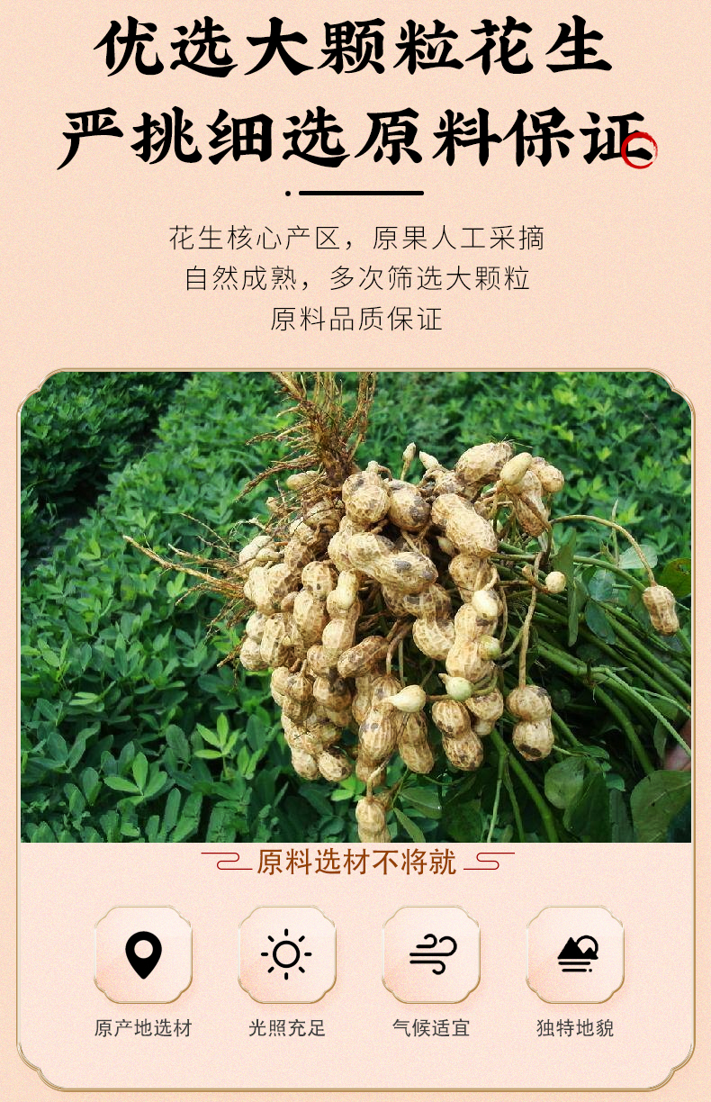 花生米下酒菜香辣熟五香花生仁250g