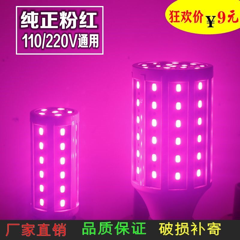New LED lantern red bulb color powder light purple blue green orange yellow snail atmosphere mood corn night light