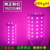 New LED lantern red bulb color powder light purple blue green orange yellow snail atmosphere mood corn night light